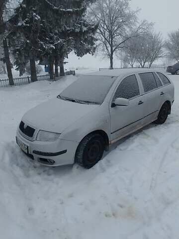 Сірий Шкода Фабія, об'ємом двигуна 1.39 л та пробігом 306 тис. км за 2900 $, фото 1 на Automoto.ua