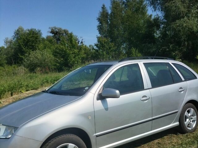 Серый Шкода Фабия, объемом двигателя 1.4 л и пробегом 183 тыс. км за 5360 $, фото 1 на Automoto.ua