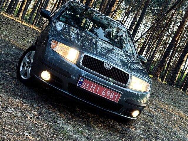 Серый Шкода Фабия, объемом двигателя 1.4 л и пробегом 248 тыс. км за 4999 $, фото 1 на Automoto.ua