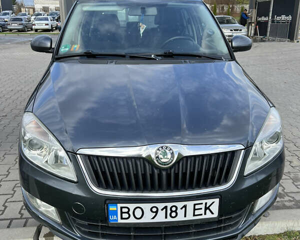 Шкода Фабия 2010 в Шумск на Automoto.ua Серый Шкода Фабия, объемом двигателя 1.2 л и пробегом 248 тыс. км за 5600 $, фото 1 на Automoto.ua