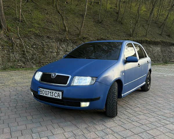 Синий Шкода Фабия, объемом двигателя 1.9 л и пробегом 300 тыс. км за 3500 $, фото 1 на Automoto.ua