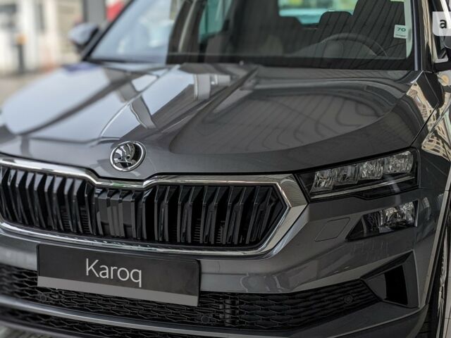 купить новое авто Шкода Karoq 2024 года от официального дилера Автоцентр AUTO.RIA Шкода фото