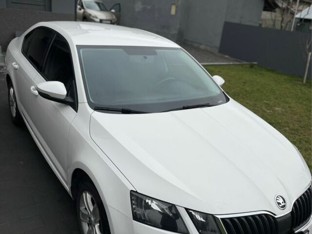 Белый Шкода Октавия, объемом двигателя 1.6 л и пробегом 195 тыс. км за 11500 $, фото 1 на Automoto.ua