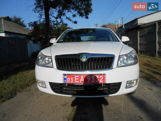 Белый Шкода Октавия, объемом двигателя 1.6 л и пробегом 212 тыс. км за 8400 $, фото 1 на Automoto.ua