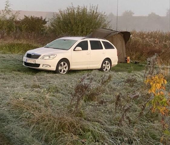 Белый Шкода Октавия, объемом двигателя 2 л и пробегом 351 тыс. км за 9500 $, фото 1 на Automoto.ua