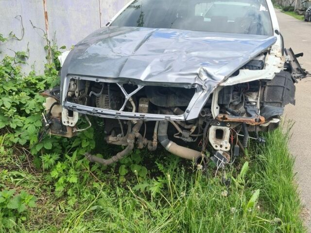 Білий Шкода Октавія, об'ємом двигуна 0 л та пробігом 180 тис. км за 37000 $, фото 1 на Automoto.ua