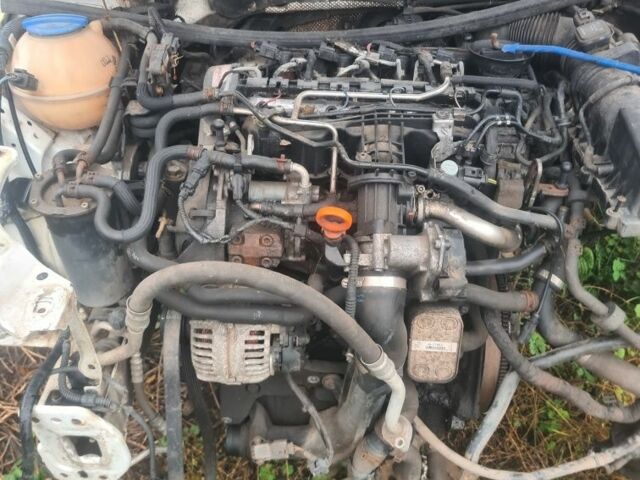 Білий Шкода Октавія, об'ємом двигуна 0 л та пробігом 200 тис. км за 799 $, фото 1 на Automoto.ua