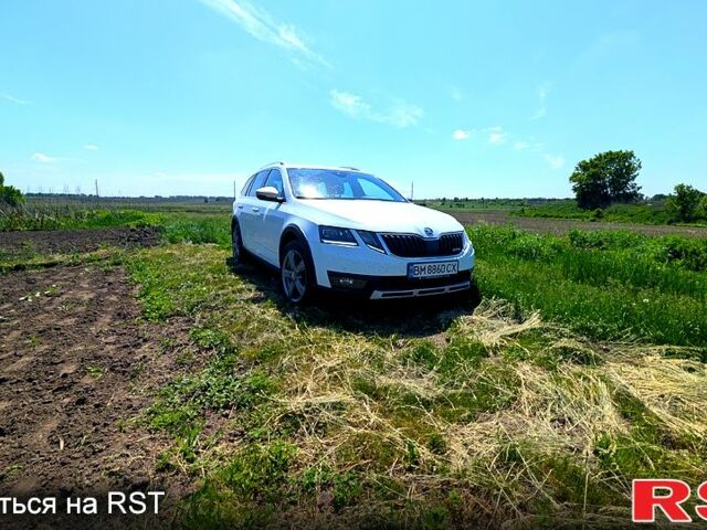 Белый Шкода Октавия, объемом двигателя 2 л и пробегом 291 тыс. км за 16500 $, фото 1 на Automoto.ua