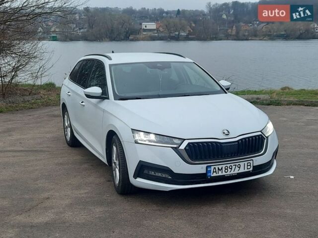 Белый Шкода Октавия, объемом двигателя 1.97 л и пробегом 234 тыс. км за 18900 $, фото 1 на Automoto.ua