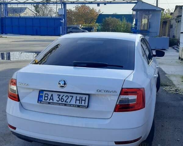 Шкода Октавія 2017 у Кропивницькому (Кіровограді) на Automoto.ua Білий Шкода Октавія, об'ємом двигуна 1.6 л та пробігом 80 тис. км за 14500 $, фото 1 на Automoto.ua