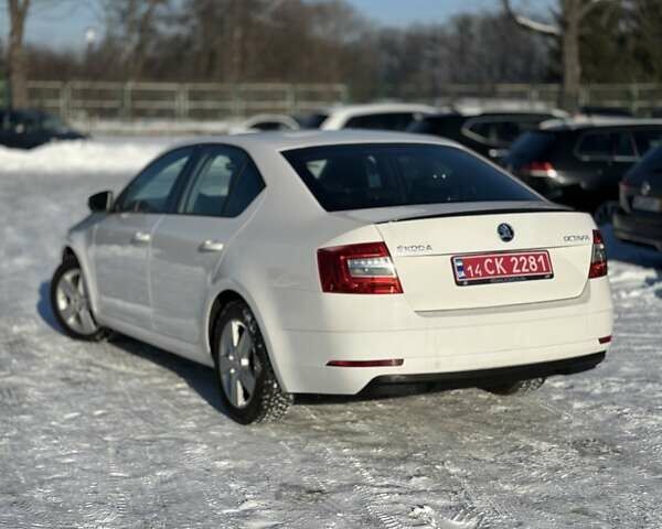 Белый Шкода Октавия, объемом двигателя 1.6 л и пробегом 188 тыс. км за 12550 $, фото 1 на Automoto.ua
