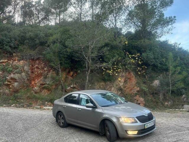 Бежевый Шкода Октавия, объемом двигателя 1.4 л и пробегом 213 тыс. км за 9000 $, фото 1 на Automoto.ua