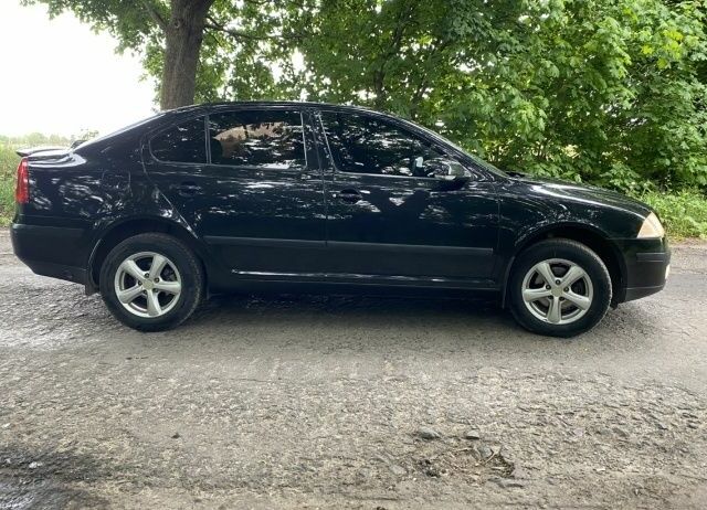 Чорний Шкода Октавія, об'ємом двигуна 1.6 л та пробігом 150 тис. км за 6500 $, фото 1 на Automoto.ua