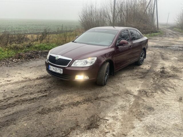 Красный Шкода Октавия, объемом двигателя 1.4 л и пробегом 218 тыс. км за 7300 $, фото 1 на Automoto.ua