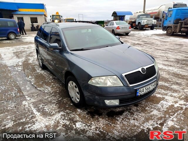 Серый Шкода Октавия, объемом двигателя 1.9 л и пробегом 300 тыс. км за 5999 $, фото 1 на Automoto.ua