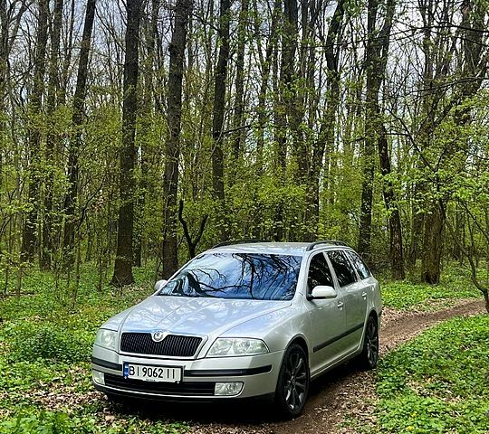 Серый Шкода Октавия, объемом двигателя 1.9 л и пробегом 250 тыс. км за 7000 $, фото 1 на Automoto.ua