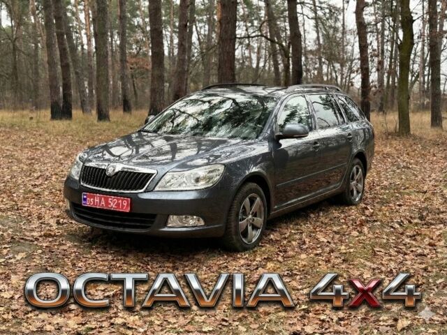 Серый Шкода Октавия, объемом двигателя 1.8 л и пробегом 220 тыс. км за 8200 $, фото 1 на Automoto.ua