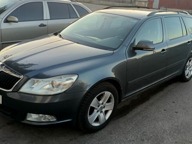 Серый Шкода Октавия, объемом двигателя 1.9 л и пробегом 260 тыс. км за 6800 $, фото 1 на Automoto.ua