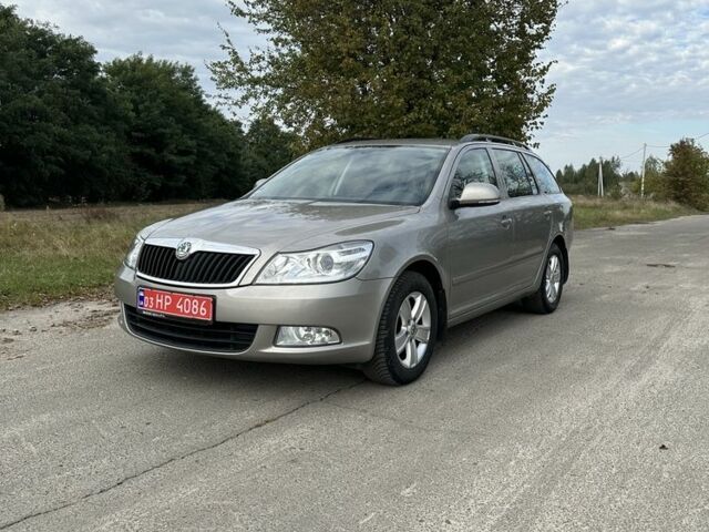 Сірий Шкода Октавія, об'ємом двигуна 1.4 л та пробігом 259 тис. км за 6999 $, фото 1 на Automoto.ua