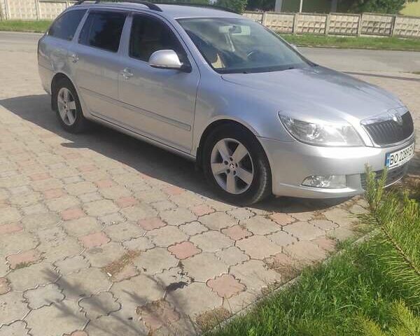 Серый Шкода Октавия, объемом двигателя 1.97 л и пробегом 251 тыс. км за 9500 $, фото 1 на Automoto.ua