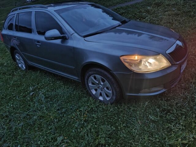 Серый Шкода Октавия, объемом двигателя 2 л и пробегом 243 тыс. км за 9800 $, фото 1 на Automoto.ua