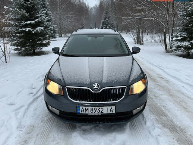 Серый Шкода Октавия, объемом двигателя 1.97 л и пробегом 253 тыс. км за 13400 $, фото 1 на Automoto.ua