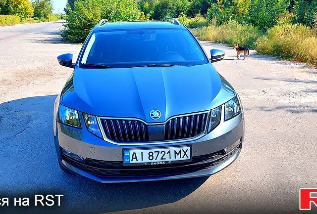 Сірий Шкода Октавія, об'ємом двигуна 1.6 л та пробігом 237 тис. км за 15900 $, фото 1 на Automoto.ua