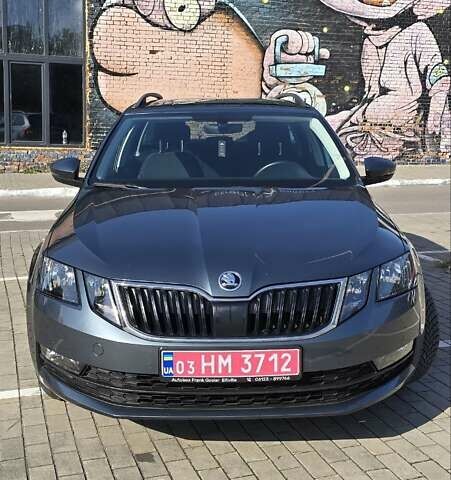 Шкода Октавия 2019 в Луцке на Automoto.ua Серый Шкода Октавия, объемом двигателя 1.97 л и пробегом 269 тыс. км за 15400 $, фото 1 на Automoto.ua