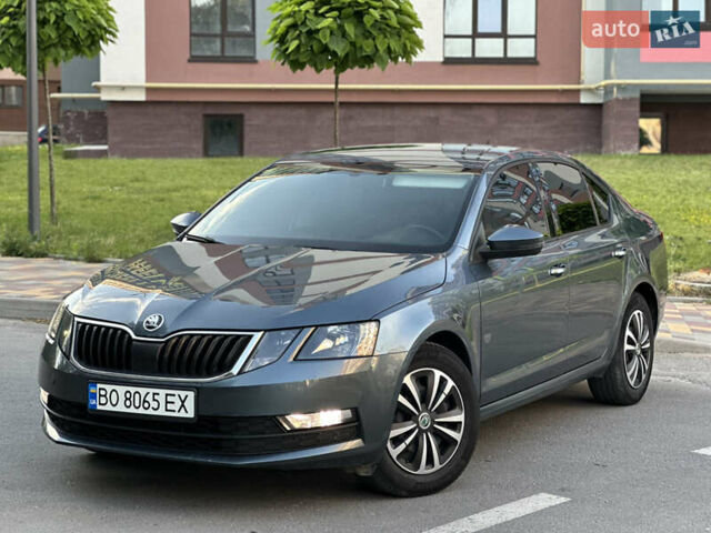 Серый Шкода Октавия, объемом двигателя 1.6 л и пробегом 290 тыс. км за 11700 $, фото 1 на Automoto.ua