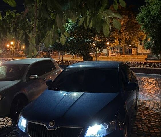 Синій Шкода Октавія, об'ємом двигуна 1.6 л та пробігом 285 тис. км за 9804 $, фото 1 на Automoto.ua
