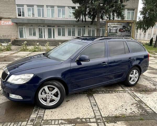 Синий Шкода Октавия, объемом двигателя 1.97 л и пробегом 334 тыс. км за 6500 $, фото 1 на Automoto.ua
