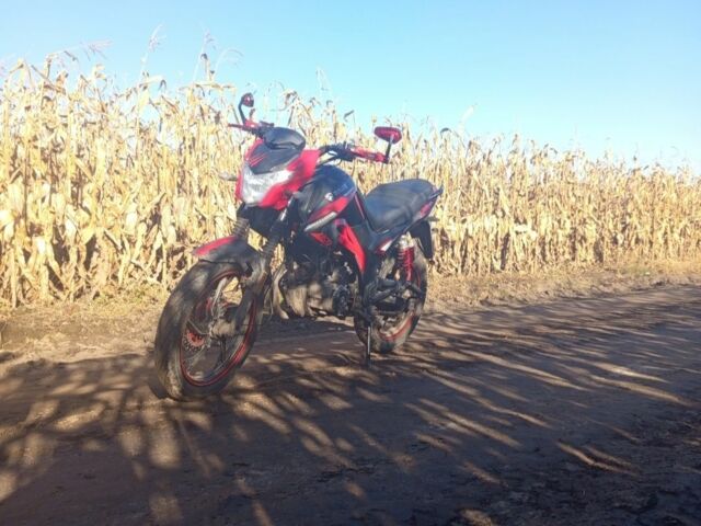 Спарк Другая, объемом двигателя 0.2 л и пробегом 0 тыс. км за 712 $, фото 1 на Automoto.ua