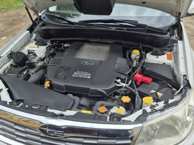 Белый Субару Форестер, объемом двигателя 2 л и пробегом 300 тыс. км за 8000 $, фото 1 на Automoto.ua