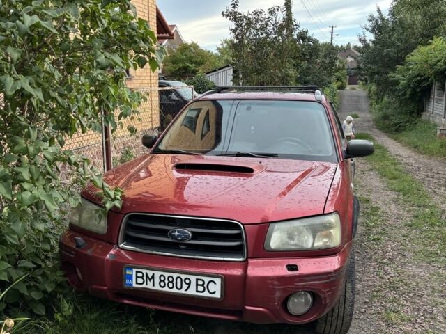 Червоний Субару Forester, об'ємом двигуна 2 л та пробігом 360 тис. км за 3800 $, фото 1 на Automoto.ua