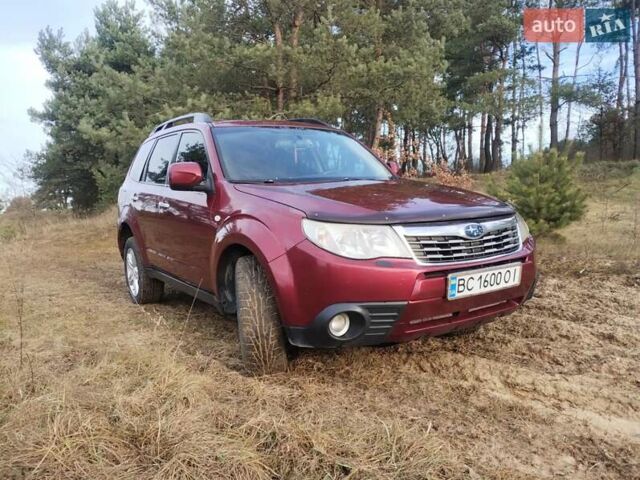 Червоний Субару Forester, об'ємом двигуна 2.46 л та пробігом 304 тис. км за 7900 $, фото 1 на Automoto.ua