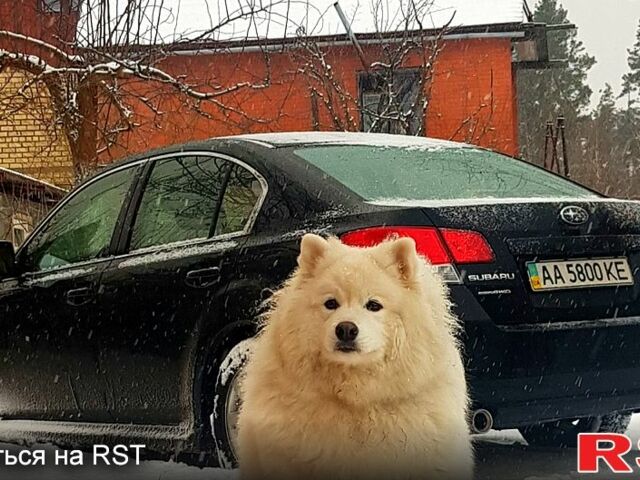 Чорний Субару Легасі, об'ємом двигуна 2 л та пробігом 270 тис. км за 7200 $, фото 1 на Automoto.ua