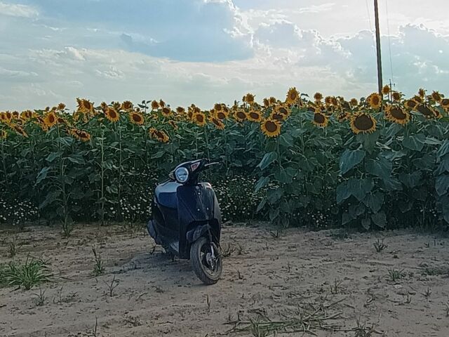 Сузукі Інша, об'ємом двигуна 49 л та пробігом 0 тис. км за 550 $, фото 1 на Automoto.ua