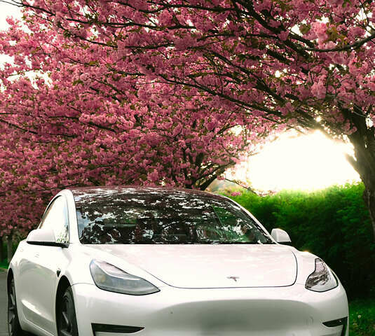 Белый Тесла Модель 3, объемом двигателя 0 л и пробегом 53 тыс. км за 23000 $, фото 1 на Automoto.ua