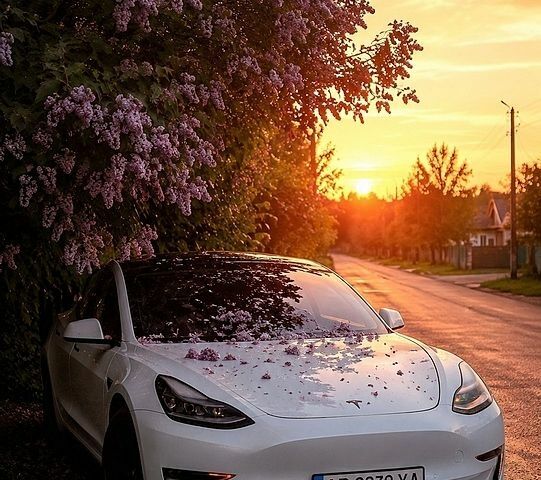 Білий Тесла Модель 3, об'ємом двигуна 0 л та пробігом 58 тис. км за 17200 $, фото 1 на Automoto.ua