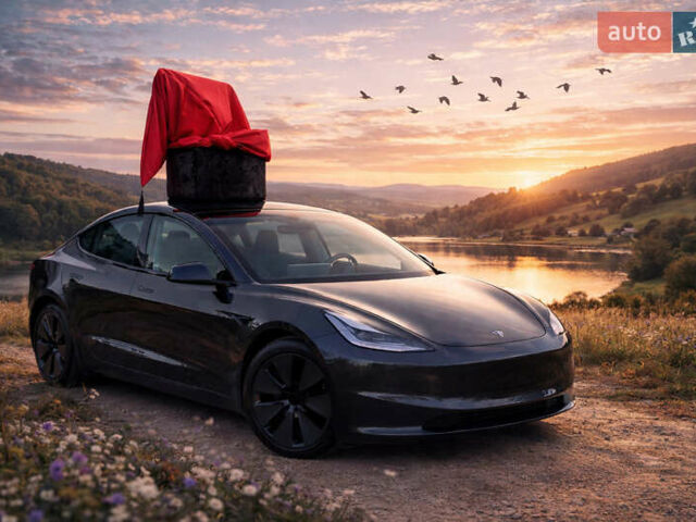 Сірий Тесла Модель 3, об'ємом двигуна 0 л та пробігом 21 тис. км за 29999 $, фото 1 на Automoto.ua