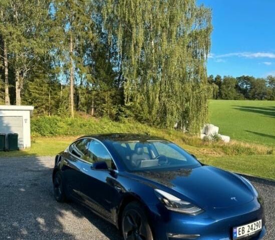 Синій Тесла Модель 3, об'ємом двигуна 0 л та пробігом 130 тис. км за 13200 $, фото 1 на Automoto.ua