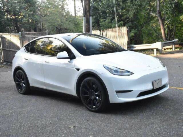 Белый Тесла Другая, объемом двигателя 0 л и пробегом 17 тыс. км за 9500 $, фото 1 на Automoto.ua