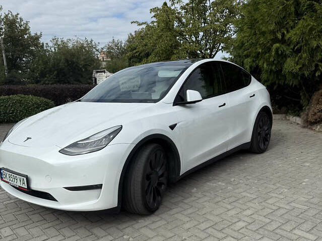 Білий Тесла Model Y, об'ємом двигуна 0 л та пробігом 180 тис. км за 23000 $, фото 1 на Automoto.ua
