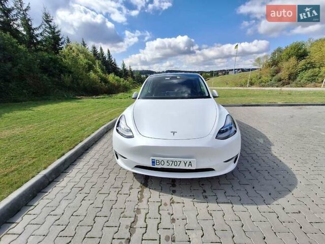 Білий Тесла Model Y, об'ємом двигуна 0 л та пробігом 75 тис. км за 30000 $, фото 1 на Automoto.ua