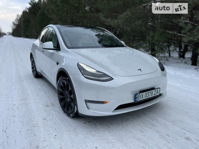 Белый Тесла Model Y, объемом двигателя 0 л и пробегом 40 тыс. км за 24000 $, фото 1 на Automoto.ua