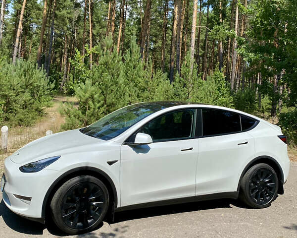 Белый Тесла Model Y, объемом двигателя 0 л и пробегом 33 тыс. км за 35000 $, фото 1 на Automoto.ua