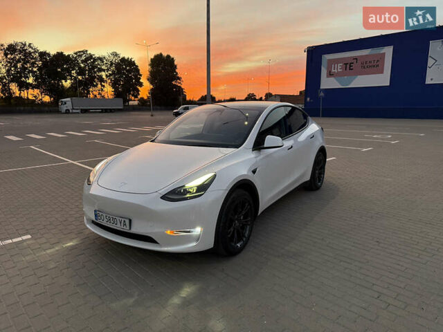 Белый Тесла Model Y, объемом двигателя 0 л и пробегом 81 тыс. км за 25900 $, фото 1 на Automoto.ua