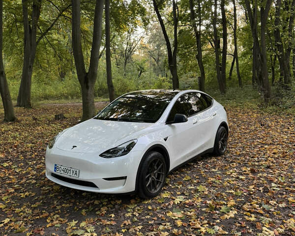 Белый Тесла Model Y, объемом двигателя 0 л и пробегом 30 тыс. км за 35000 $, фото 1 на Automoto.ua
