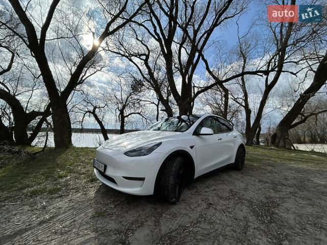 Белый Тесла Model Y, объемом двигателя 0 л и пробегом 6 тыс. км за 36900 $, фото 1 на Automoto.ua