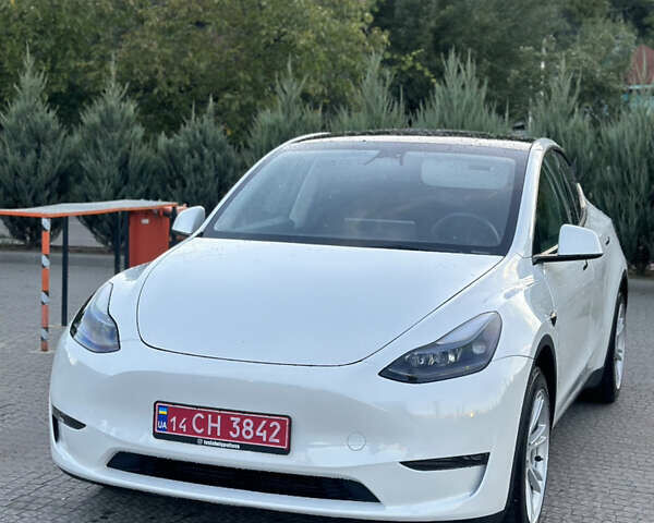 Білий Тесла Model Y, об'ємом двигуна 0 л та пробігом 42 тис. км за 29500 $, фото 1 на Automoto.ua